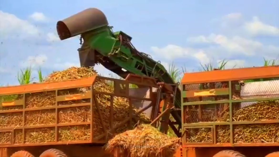 alta-de-diesel-e-fertilizantes-preocupa-produtores-do-interior-|-g1