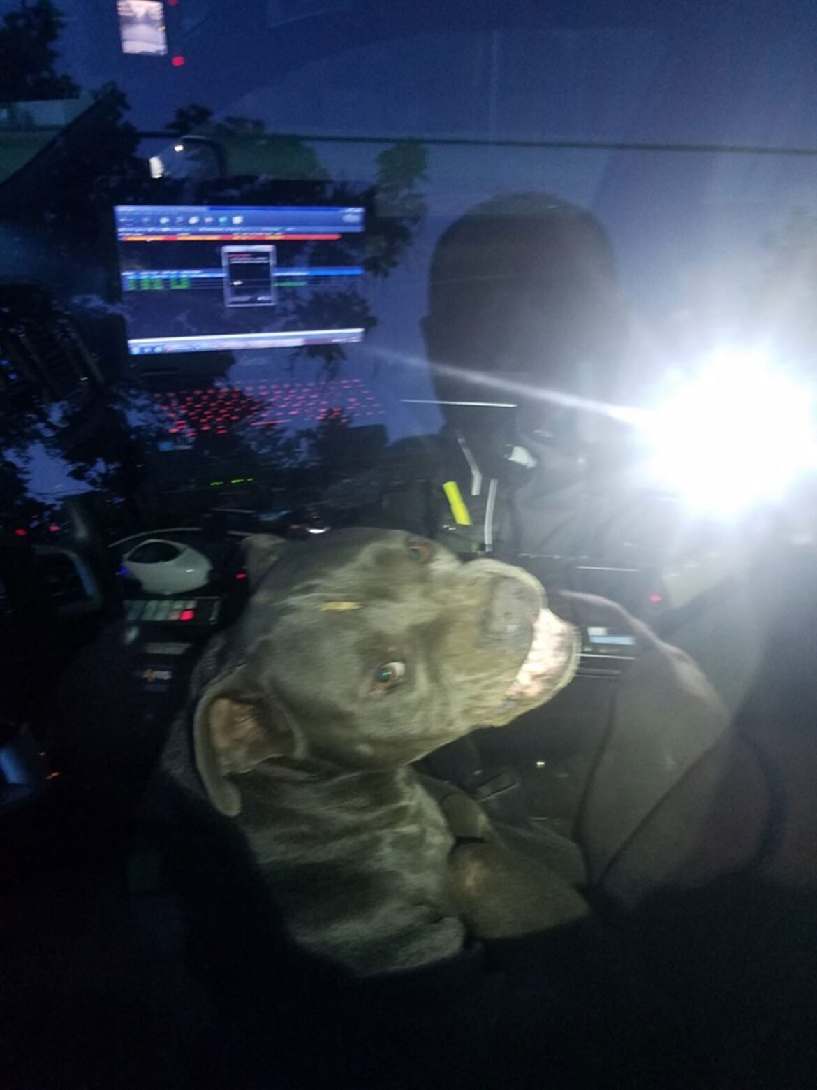 cachorro-‘sequestra’-carro-policial-no-texas