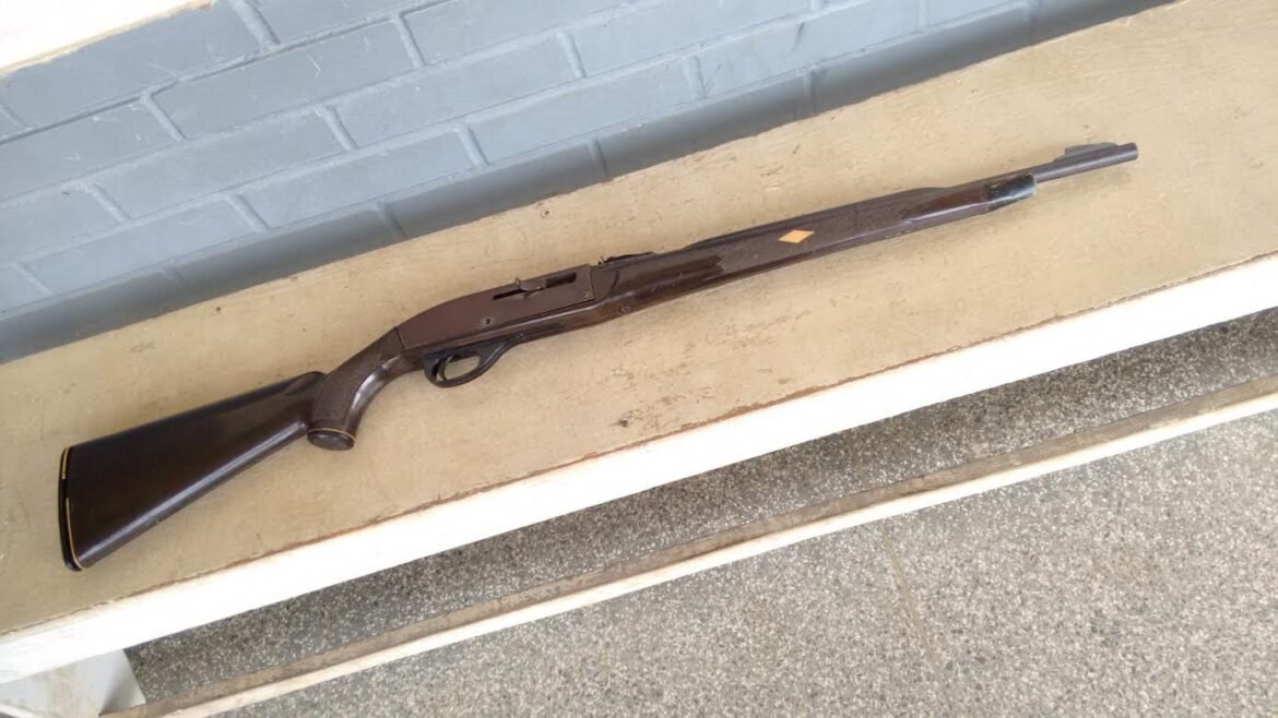 alemao-perde-licenca-de-arma-apos-‘levar-tiro’-do-proprio-cao