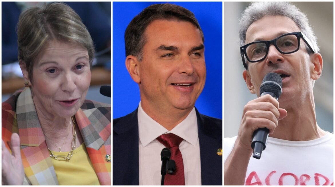 disputa-por-vice-de-flavio-bolsonaro-racha-aliados:-centrao-prefere-tereza-cristina,-e-nucleo-duro-quer-zema