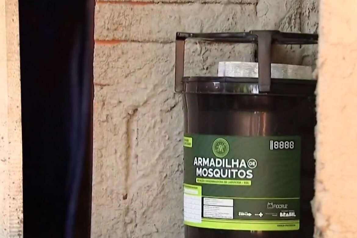 como-epidemia-de-chikunya-fez-quase-2-mil-casos,-7-mortes-e-deixou-cidade-em-alerta-em-ms