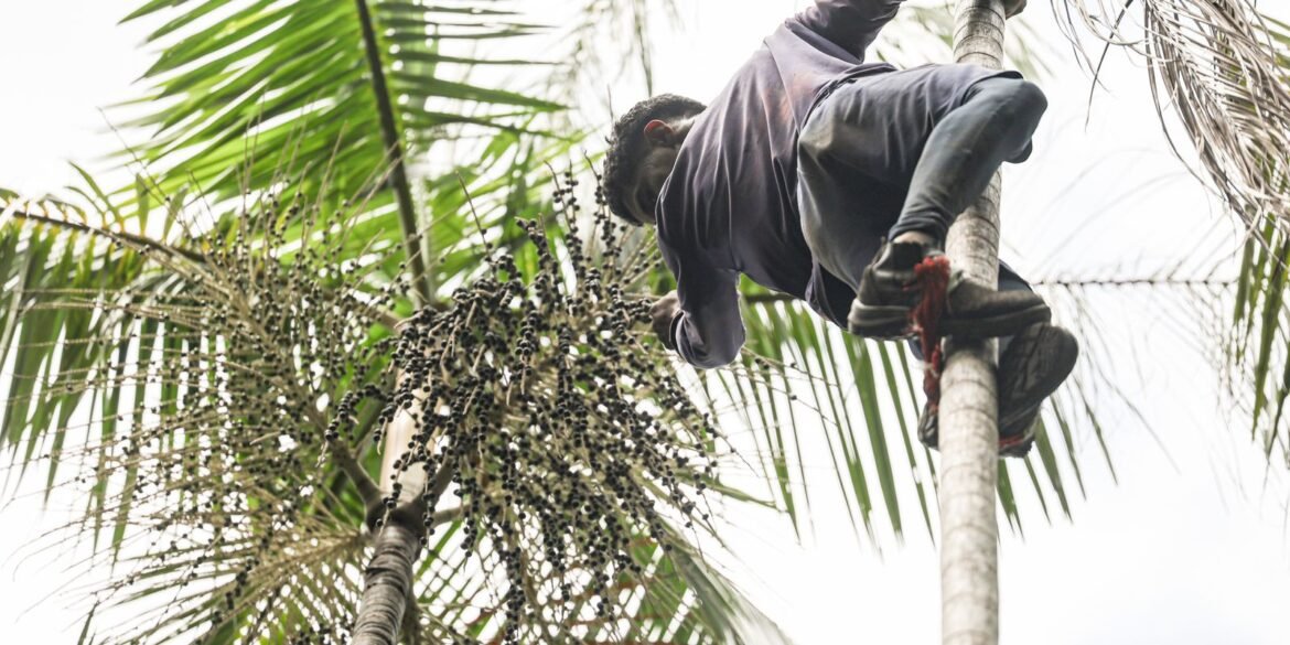 governo-investe-r$-132-milhoes-em-regularizacao-fundiaria-na-amazonia