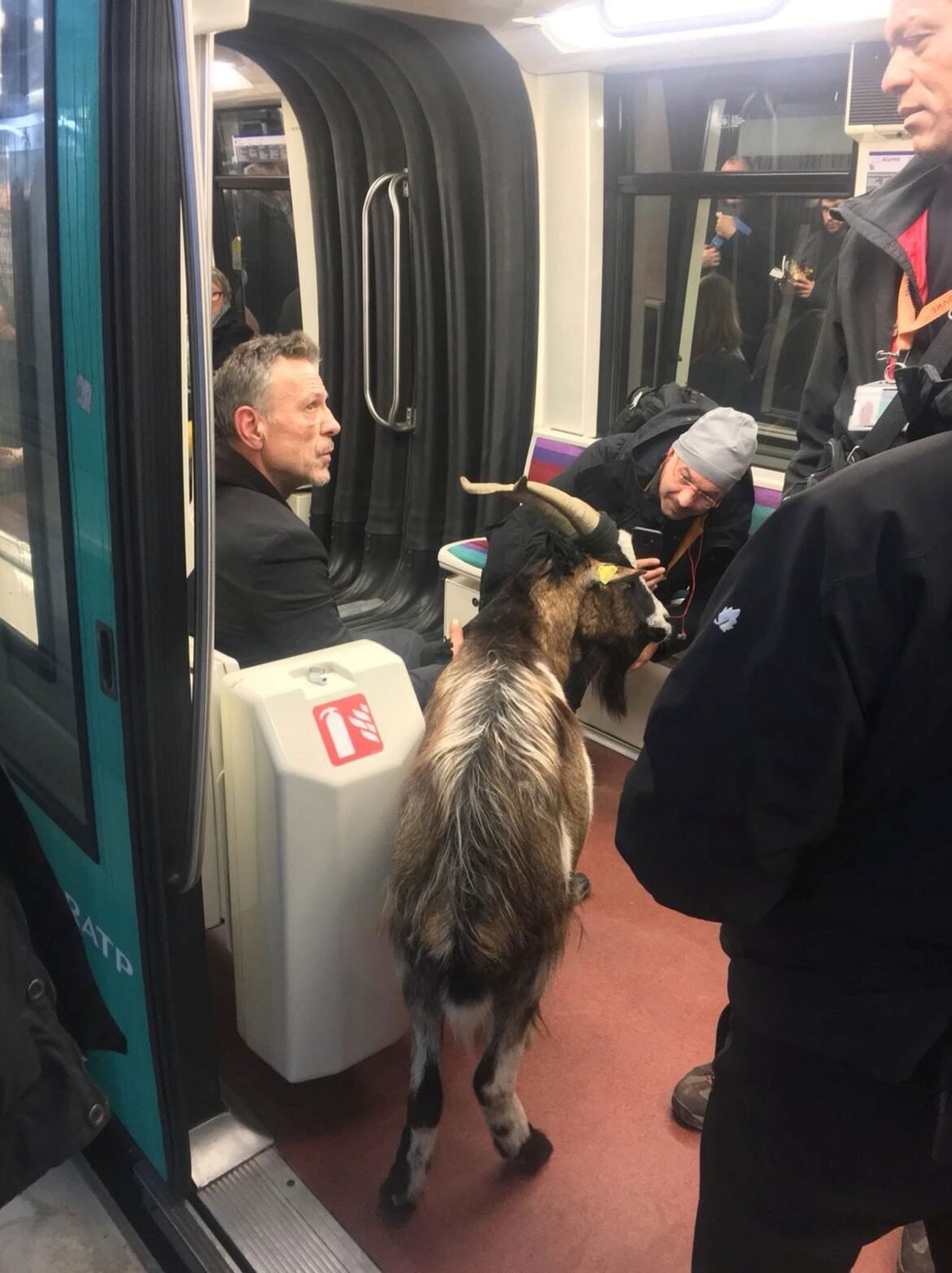 homem-rouba-cabra-perto-do-museu-do-louvre-e-foge-pelo-metro-de-paris