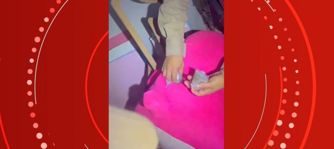 video-mostra-apreensao-de-drogas-escondidas-em-urso-de-pelucia-em-unai