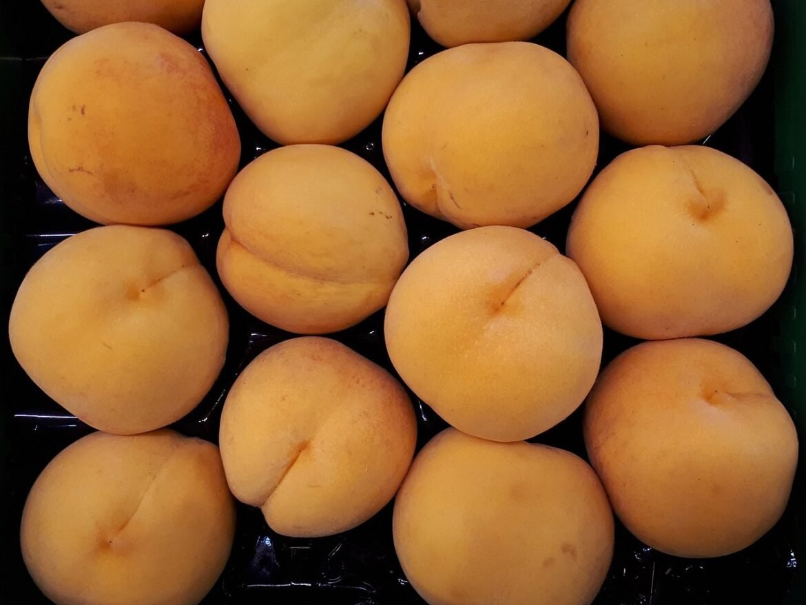 tres-frutas-brasileiras-aparecem-em-ranking-das-100-melhores-do-mundo;-veja-quais-|-g1