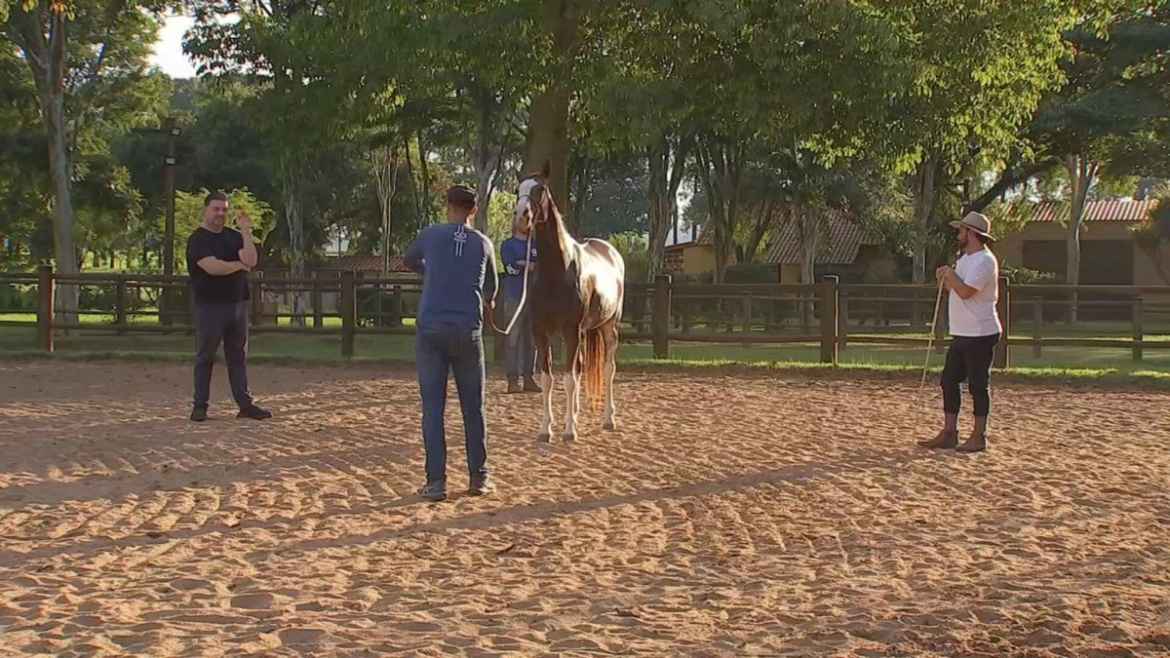 expo-agro-itapetininga-2026:-tradicao,-historias-e-negocios-|-g1