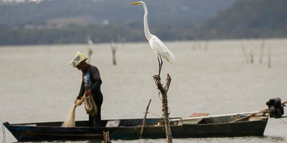 mudancas-aprovadas-para-o-seguro-defeso-previnem-fraudes,-diz-relator