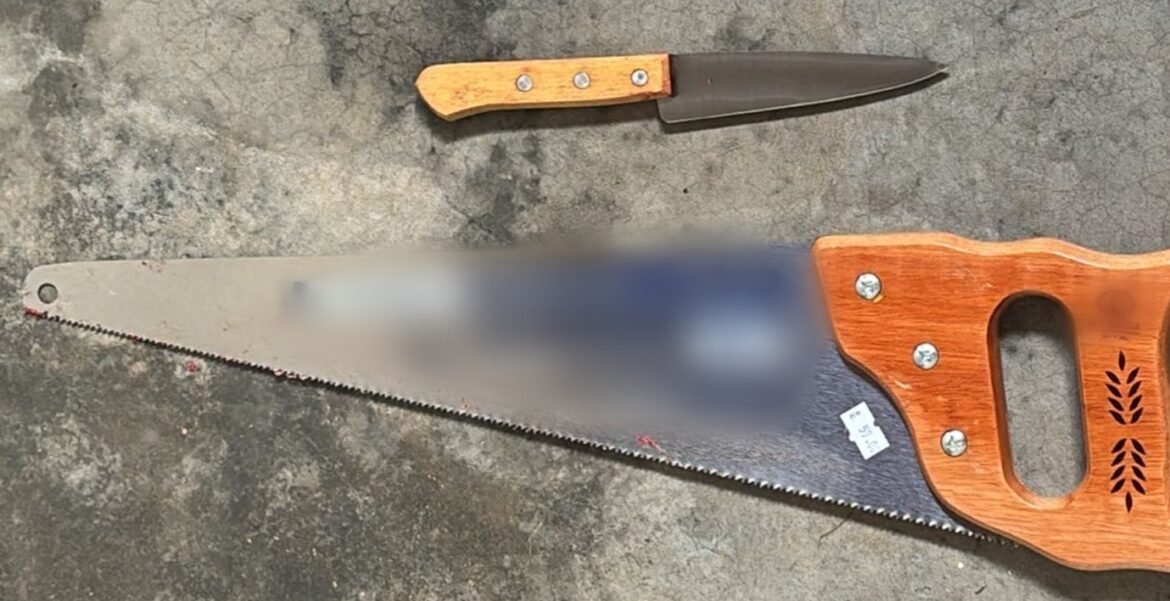 homem-que-confessou-assassinato-do-irmao-e-tentativa-de-desmembrar-o-corpo-dele-e-preso-em-salinas