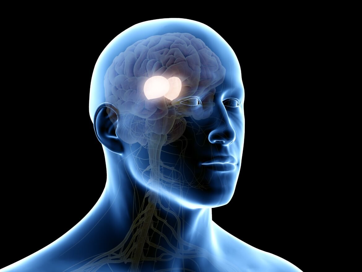 desigualdade-pesa-no-cerebro-e-pode-acelerar-envelhecimento-mais-do-que-doencas-isoladas,-diz-estudo-global