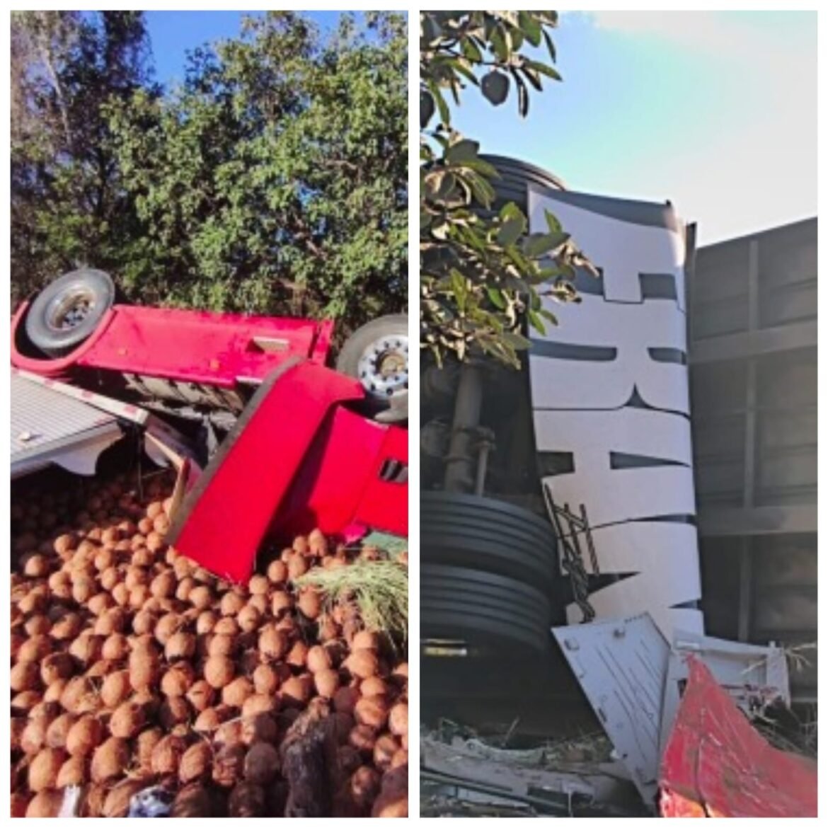 caminhao-carregado-com-cocos-tomba-na-br-135-e-motorista-fica-ferido