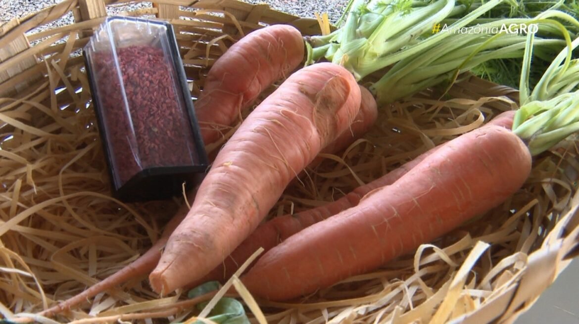 calor-extremo-ameaca-producao-de-alimentos-no-mundo,-alerta-onu-|-g1