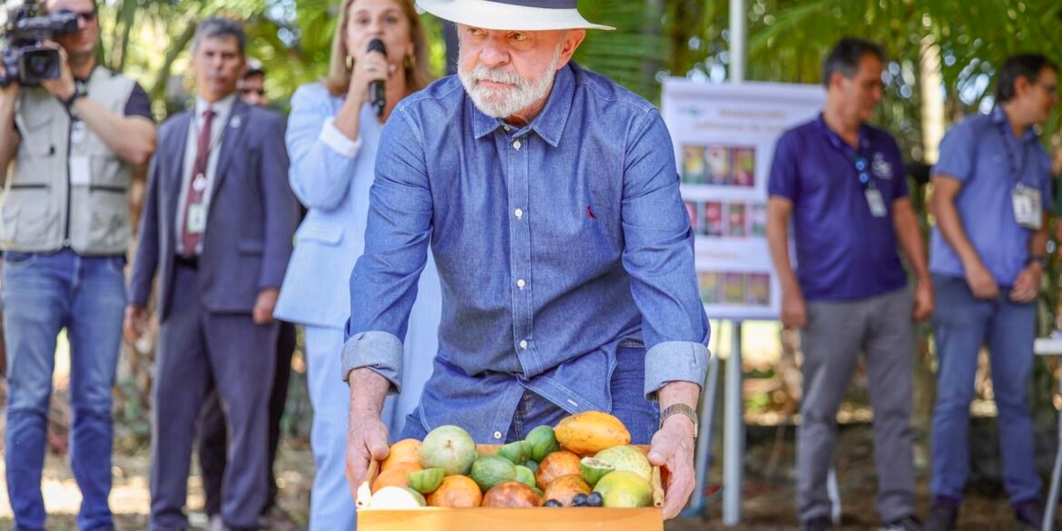 lula:-qualidade-do-agro-e-essencial-para-ampliar-exportacoes