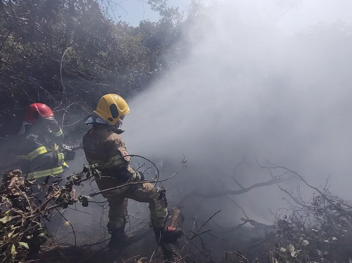 motorista-morre-carbonizado-em-acidente-na-br-251