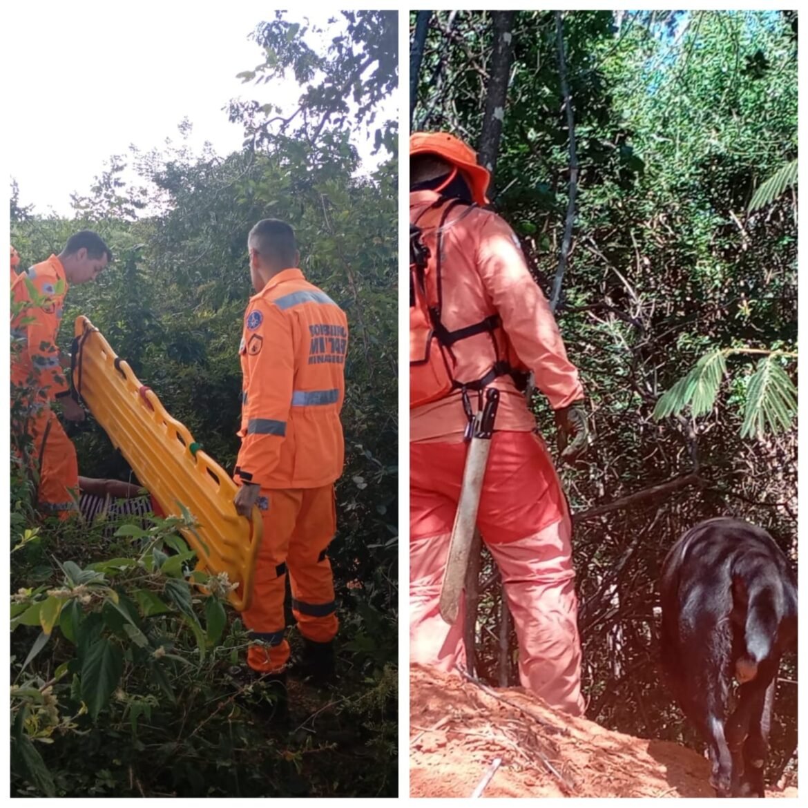 com-auxilio-de-cao-farejador,-bombeiros-encontraram-mulher-desaparecida-em-area-de-mata-em-francisco-sa