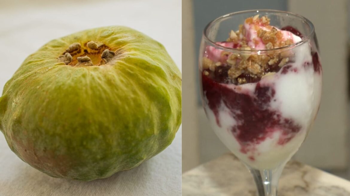 gabiroba-gigante:-conheca-fruta-da-mata-atlantica-que-venceu-concurso-|-g1