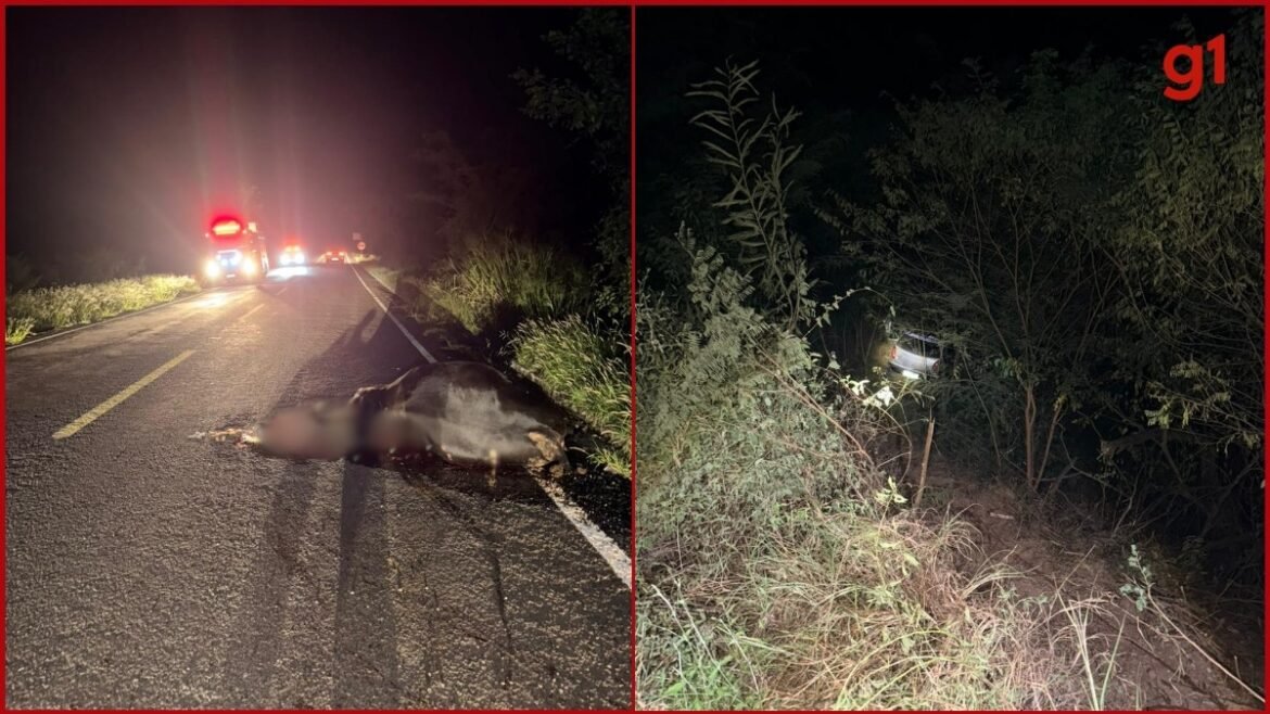 carro-bate-em-animal,-cai-em-ribanceira-e-deixa-dois-feridos-na-mgc-342,-em-aracuai