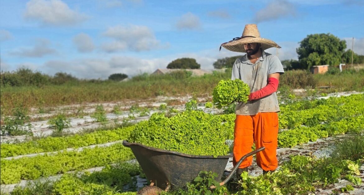 prefeitura-de-montes-claros-conta-com-programa-de-desenvolvimento-rural