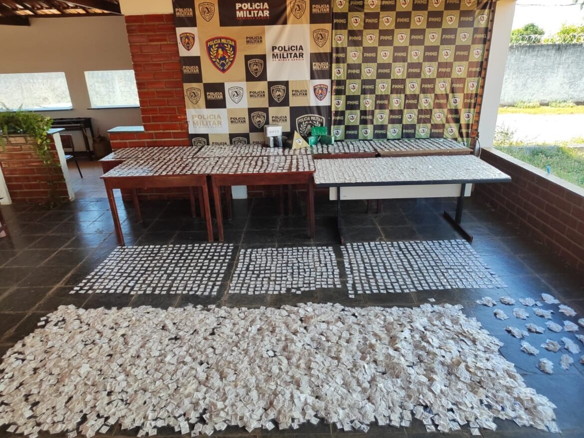 mais-de-10-mil-papelotes-de-cocaina-sao-apreendidos-em-area-de-mata,-em-januaria