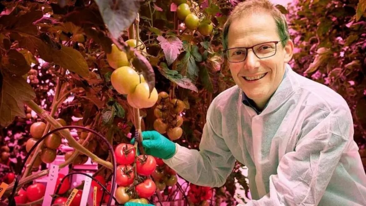 como-paises-baixos-se-tornaram-terceiro-maior-exportador-de-alimentos-|-g1