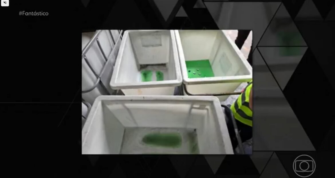 imagens-mostram-inspecao-sanitaria-realizada-na-fabrica-da-ype