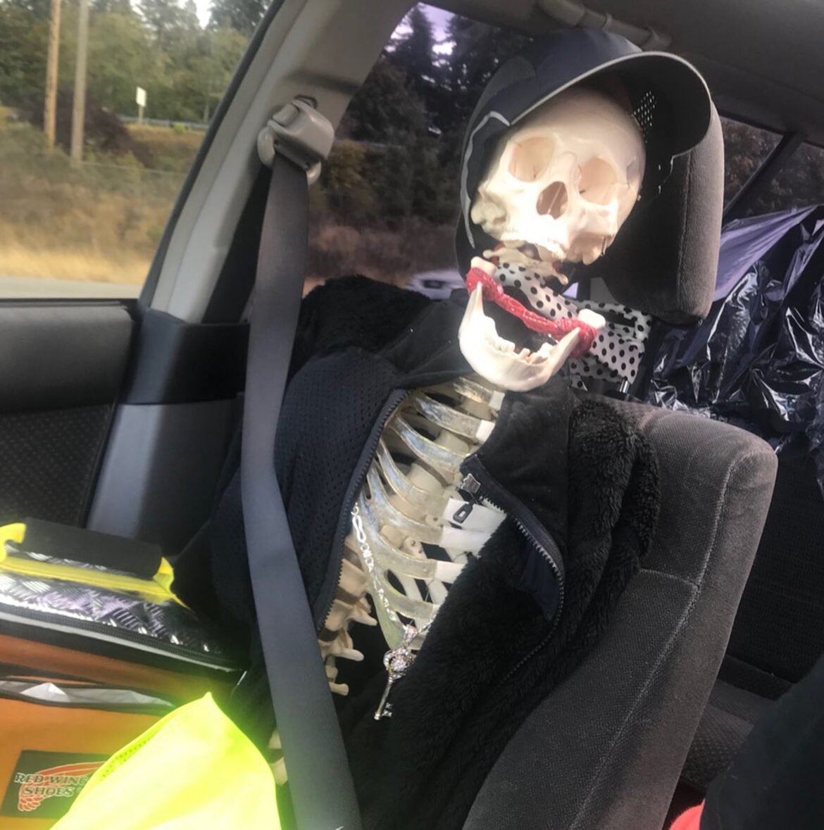 motorista-usa-esqueleto-de-brinquedo-para-enganar-policia-nos-eua