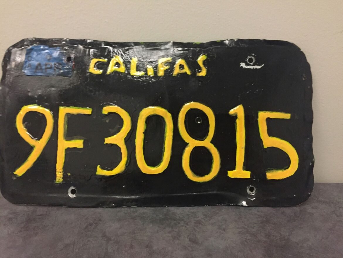 motorista-e-preso-ao-ser-flagrado-com-caminhao-com-placa-falsificada-tosca-nos-eua