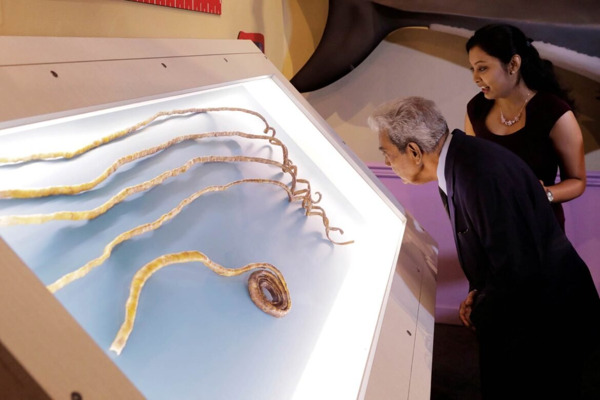 indiano-corta-maiores-unhas-do-mundo-e-expoe-em-museu-de-ny