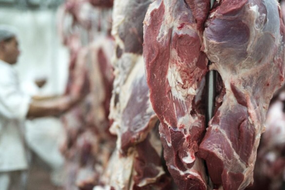 exportacoes-do-agro-crescem-11,7%-e-atingem-recorde-de-us$-16,65-bilhoes-em-abril-|-g1