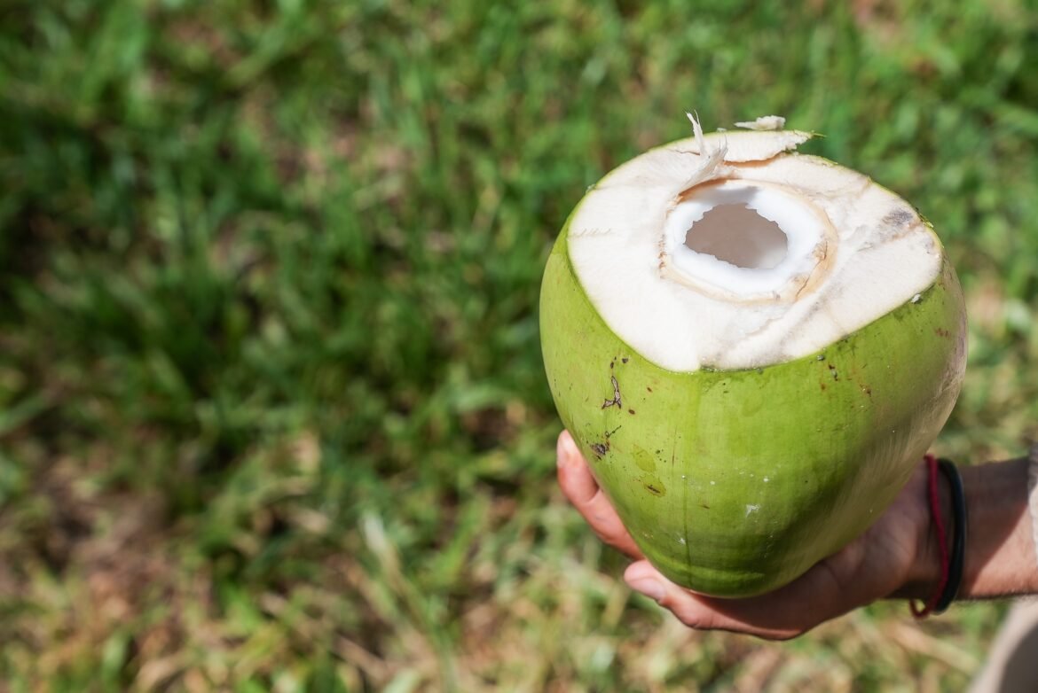 agua-de-coco-pode-substituir-isotonico?