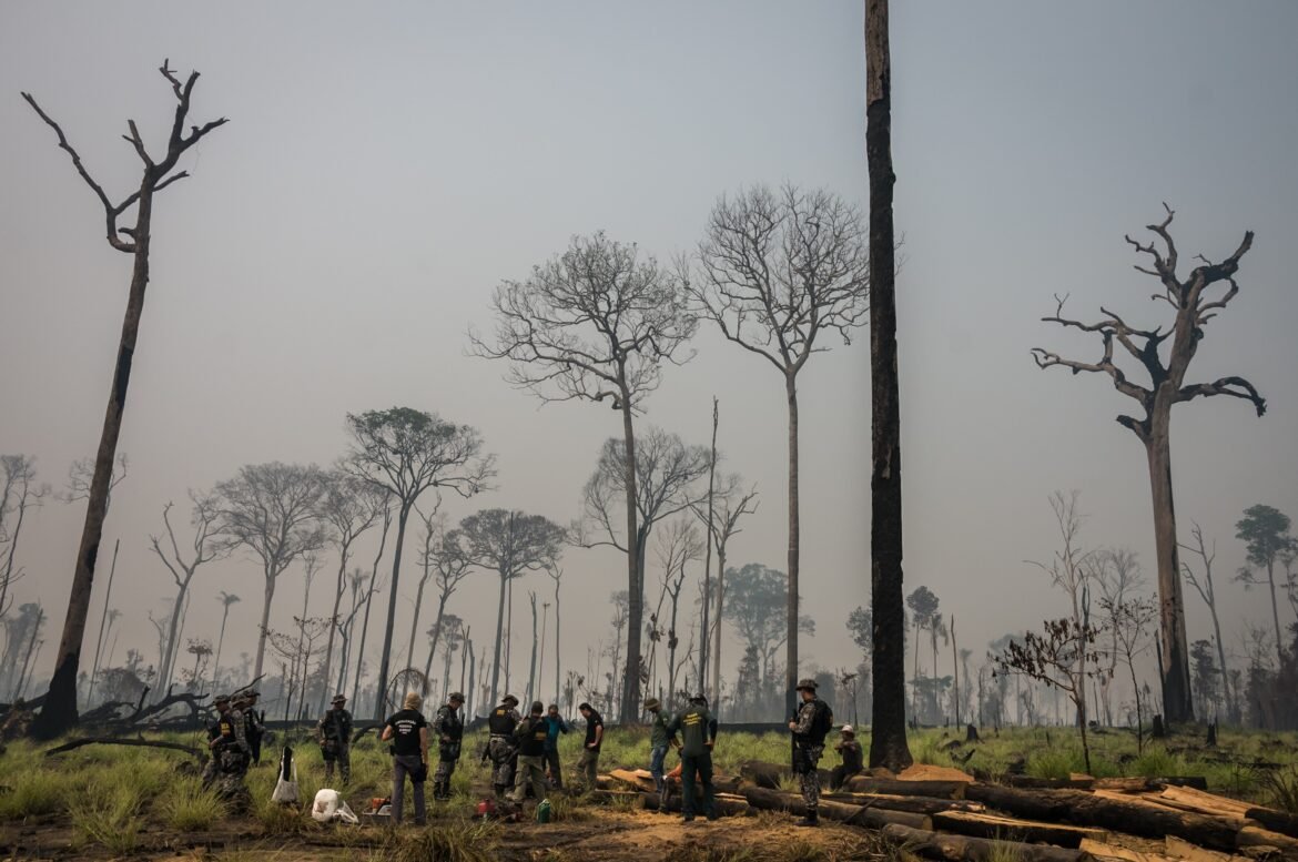 entenda-o-projeto-que-reduz-em-quase-40%-a-floresta-nacional-do-jamanxim,-criada-para-proteger-areas-perto-da-br-163