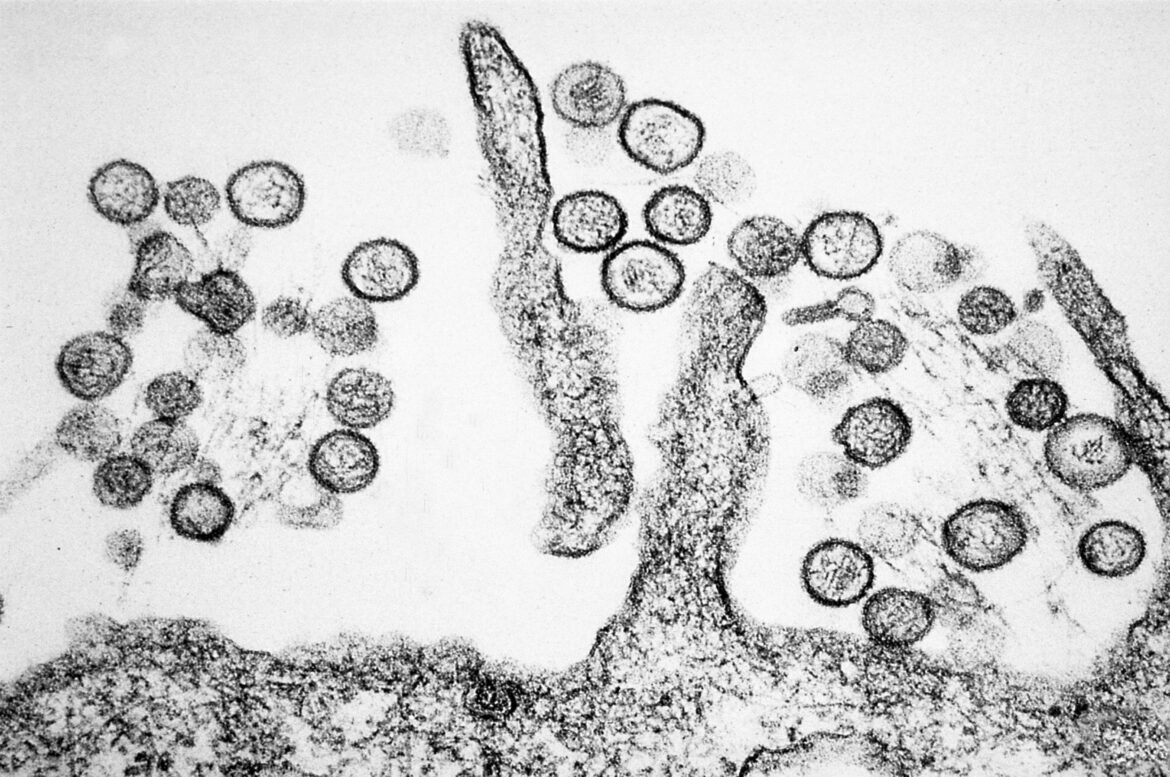 e-#fake-que-nome-do-hantavirus-venha-do-hebraico;-termo-faz-referencia-ao-rio-hantan,-na-coreia-do-sul