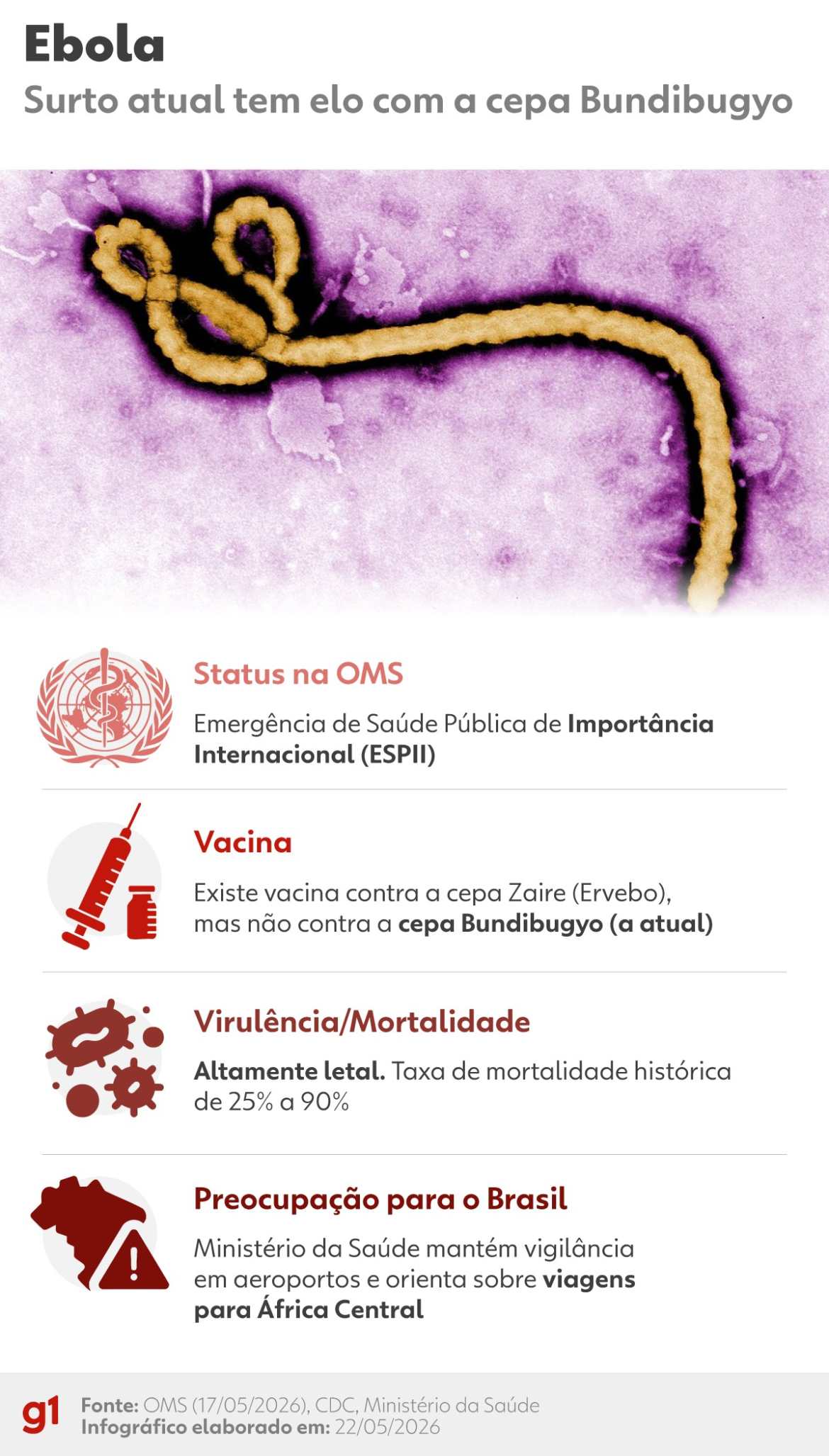 ebola,-hantavirus,-influenza-a-e-mais:-quais-os-virus-mais-perigosos-hoje-e-como-eles-podem-afetar-sua-rotina?