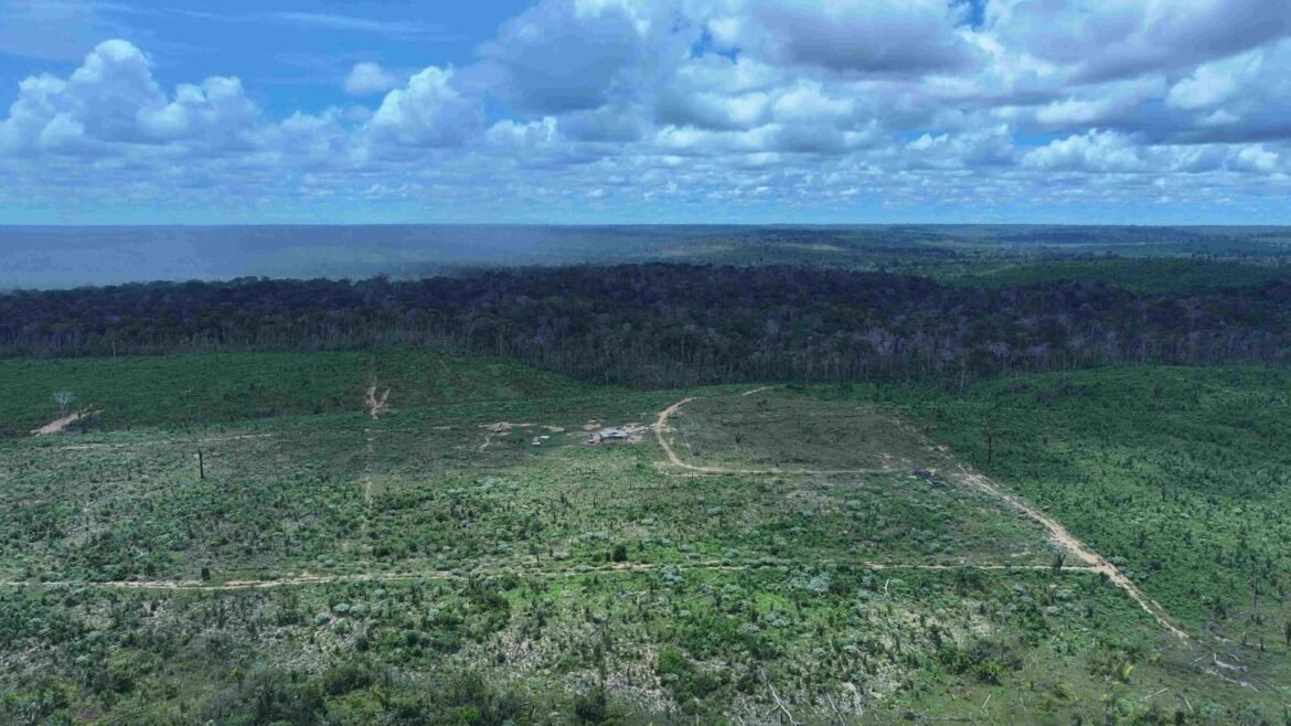 projetos-aprovados-na-camara-que-fragilizam-protecao-e-fiscalizacao-ambiental-ainda-precisam-passar-pelo-senado