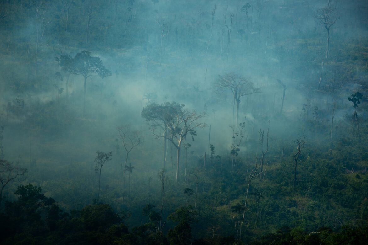 super-el-nino:-dino-da-10-dias-para-uniao-e-estados-informarem-plano-de-combate-a-incendios-florestais