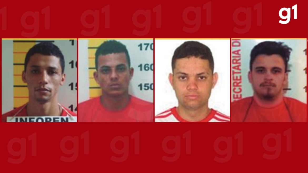 quatro-dos-12-criminosos-mais-procurados-de-mg-atuam-no-leste-e-nordeste-do-estado