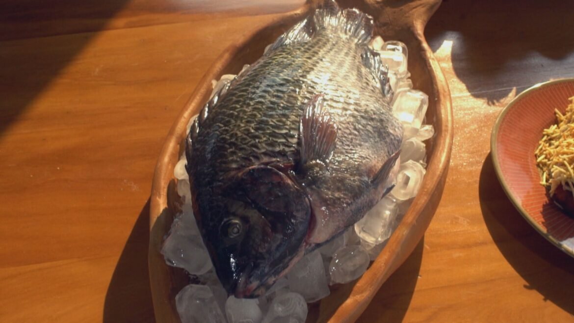 tarifa-dos-eua-sobre-tilapia-brasileira-pode-baratear-o-peixe?-entenda-|-g1