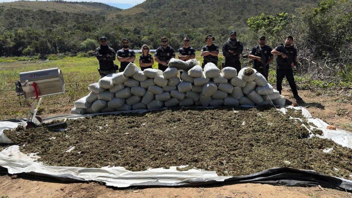 irrigacao,-geradores,-internet-via-satelite-e-maquinas:-veja-local-onde-a-policia-apreendeu-1,8-t-de-maconha-em-mg