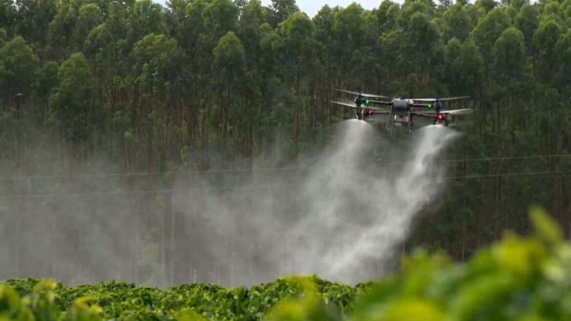 drones-e-maquinas-dao-mais-qualidade-de-vida-para-produtores-rurais-|-g1