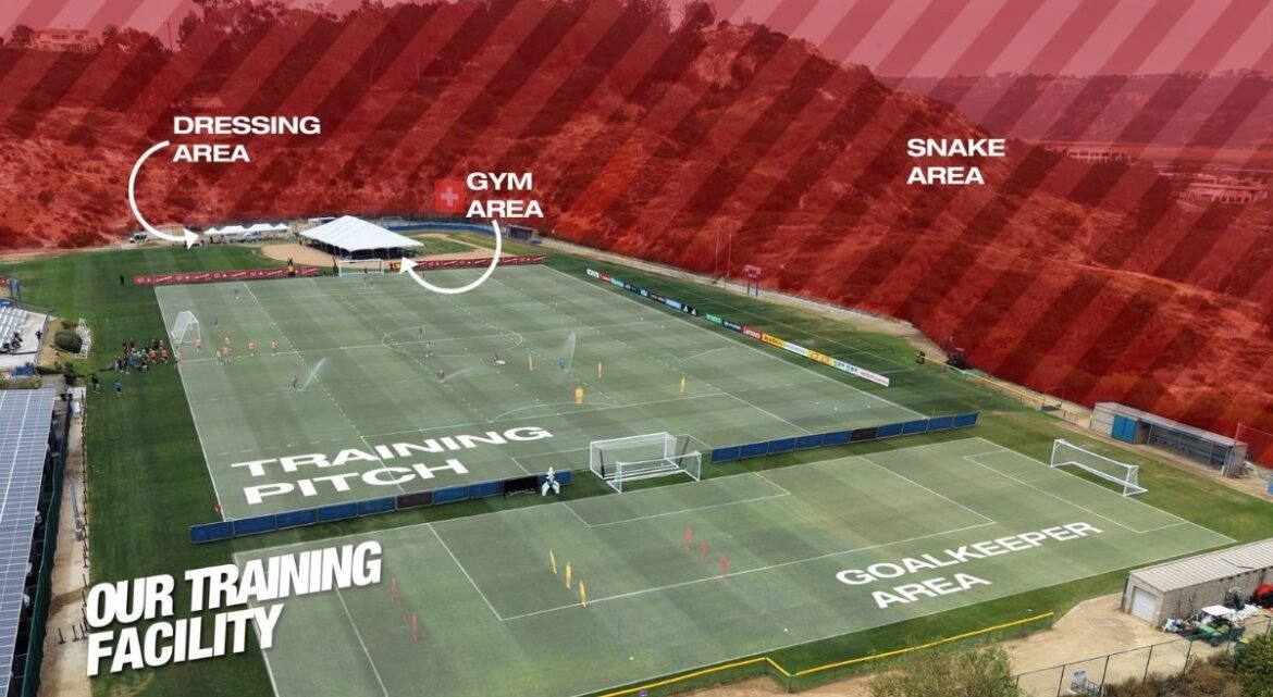 ‘snake-area’:-selecao-da-suica-divulga-que-vai-treinar-ao-lado-de-terreno-com-cobras;-entenda