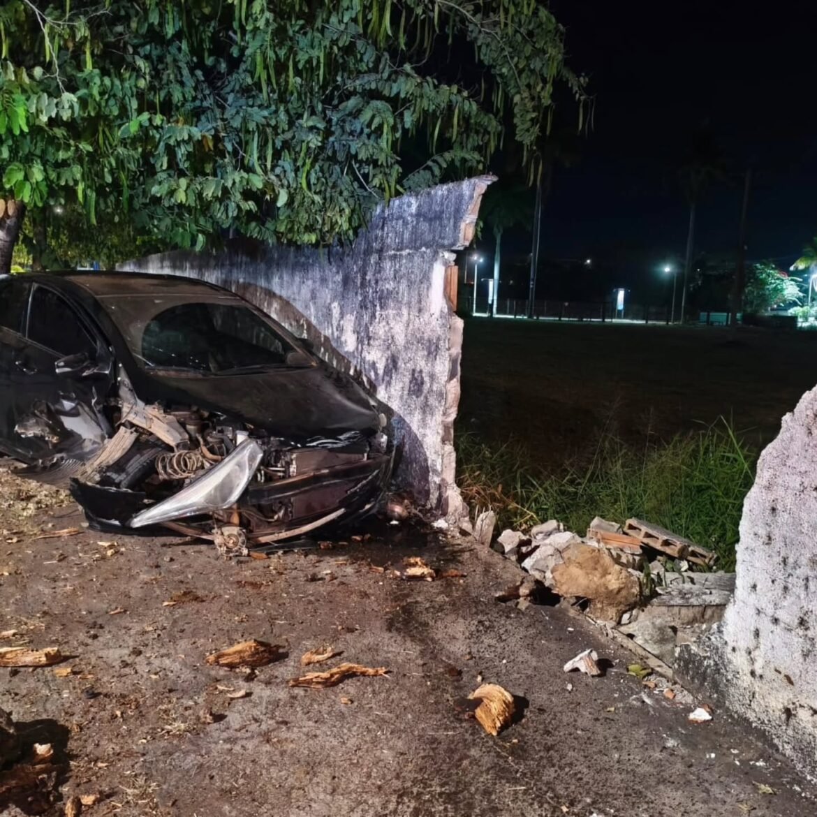 carro-bate-em-arvore-e-derruba-parte-do-muro-de-hotel-em-pirapora