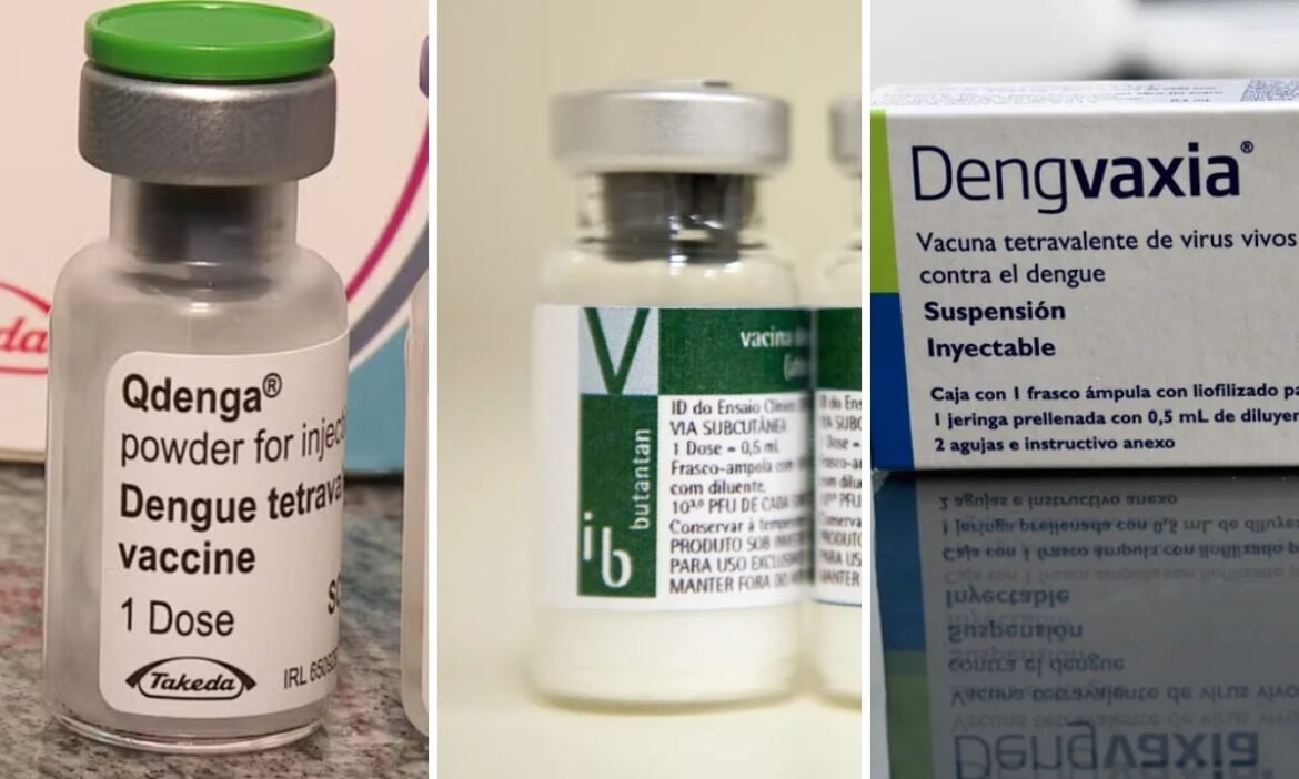 vacinas-contra-a-dengue:-quem-pode-tomar-qdenga,-butantan-dv-e-dengvaxia-—-e-quem-fica-de-fora