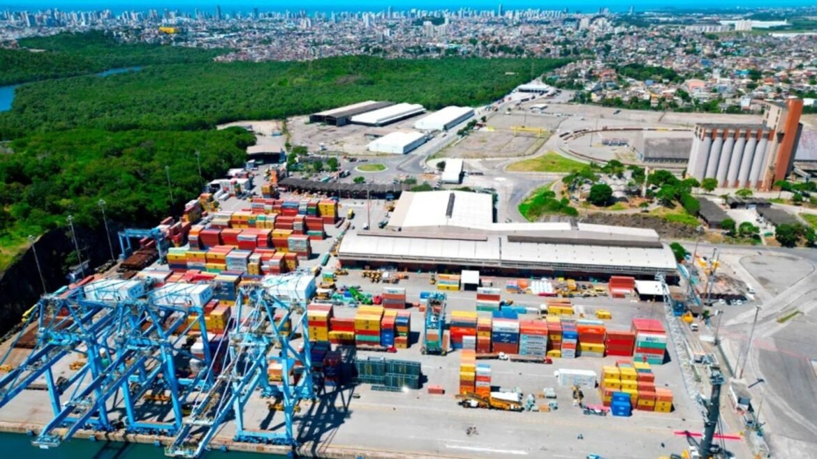 porto-por-onde-entram-carros-eletricos-no-brasil-amplia-capacidade-|-g1