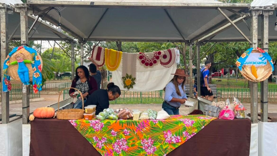 feira-regional-de-economia-solidaria-leva-artesanato-e-produtos-da-agricultura-familiar-a-praca-da-matriz,-em-montes-claros
