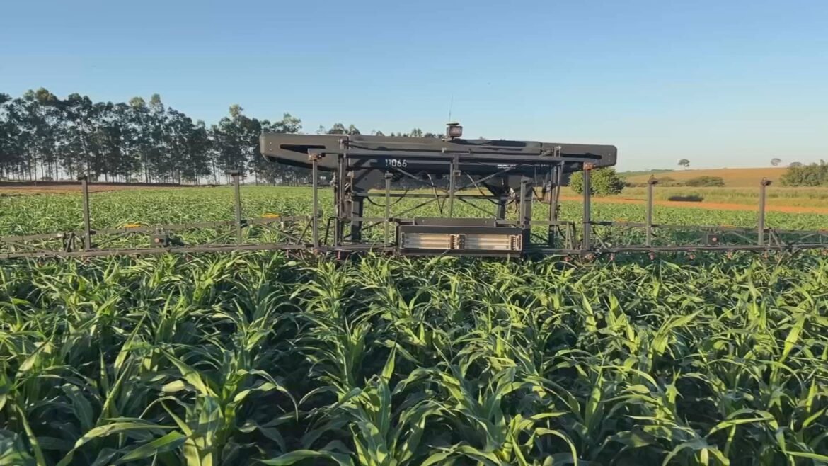 agro-5.0:-tecnologias-mudam-rotina-no-campo-e-cortam-desperdicio-|-g1