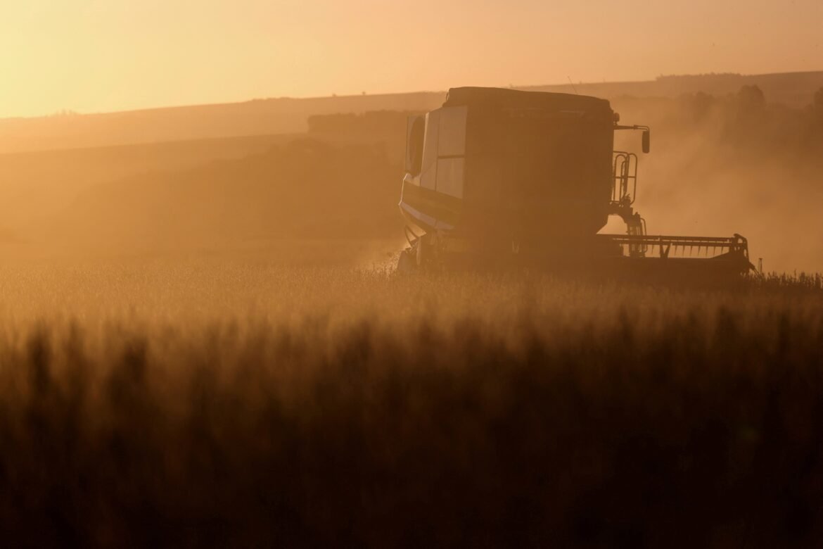 leiloes-de-propriedades-rurais-disparam-no-brasil-com-aumento-da-inadimplencia-no-campo-|-g1