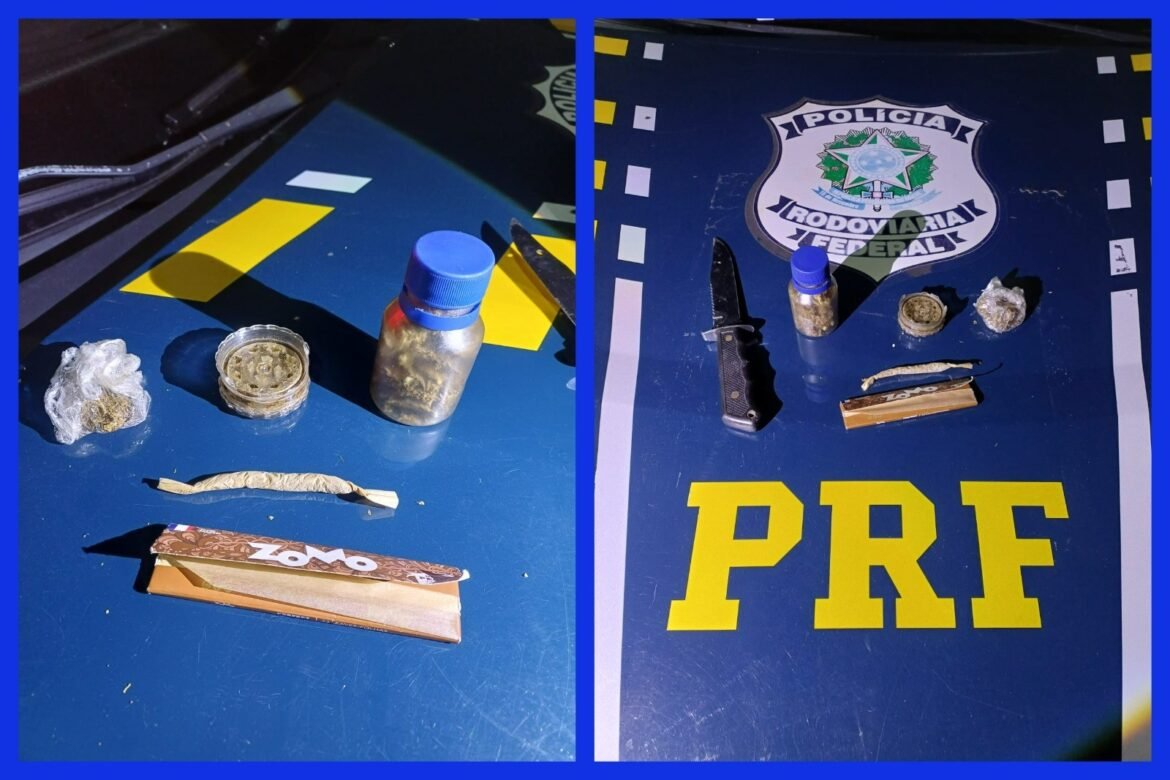 prf-flagra-motorista-de-caminhao-cegonha-com-maconha-e-trafegando-em-horario-proibido-na-br-251