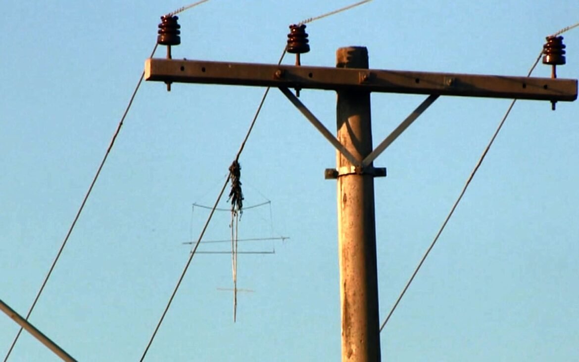 em-2026,-10-mil-consumidores-tiveram-interrupcao-de-energia-por-conta-de-pipas-no-norte-de-mg