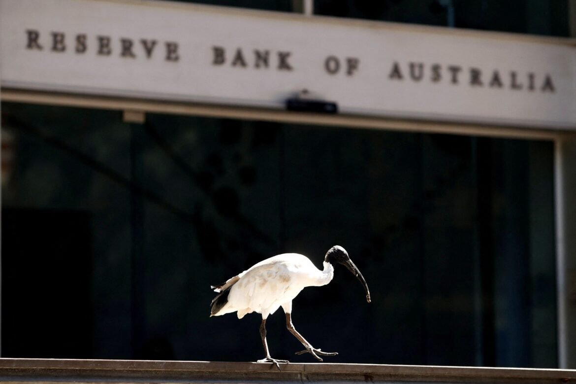 australia-confirma-2o-caso-de-gripe-aviaria-no-continente-em-menos-de-uma-semana-|-g1