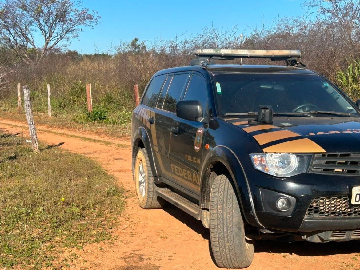 suspeito-de-armazenar-arquivos-de-abuso-sexual-infantil-e-preso-em-operacao-da-pf-em-sao-francisco