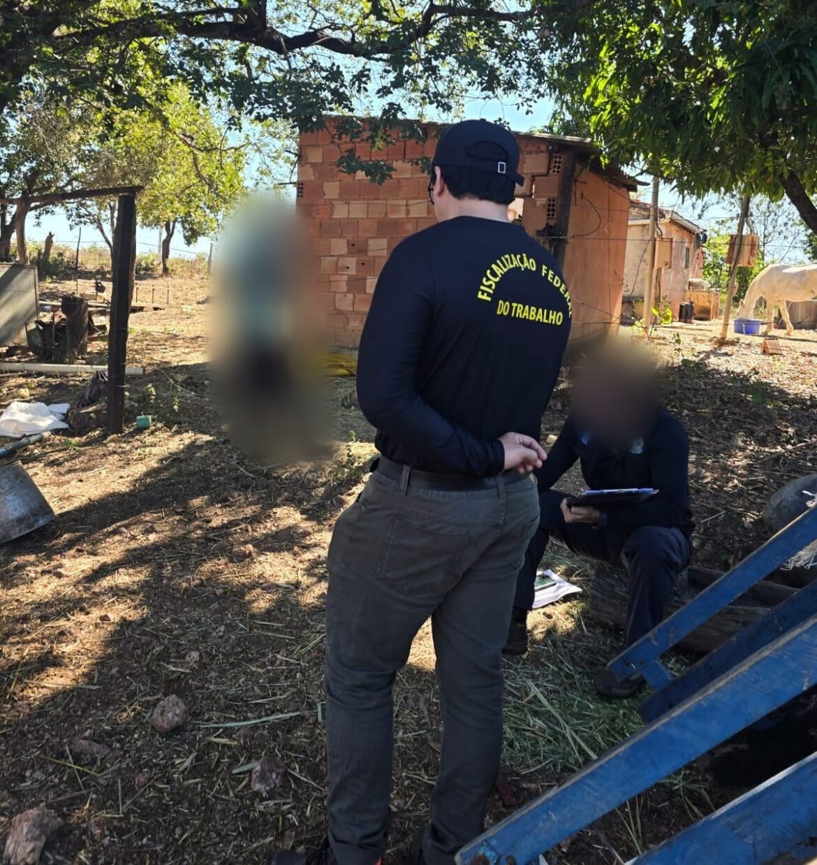 barracao-sem-banheiro,-com-buracos-no-telhado-e-fiacao-exposta:-veja-onde-trabalhador-que-recebia-r$-300-por-mes-morava